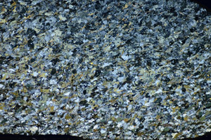 Cross Polarized, S84377