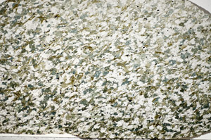 Plane Polarized, S84377