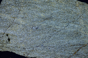 Cross Polarized, S84379