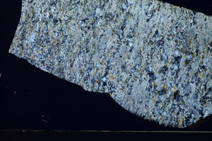 Cross Polarized, S84380