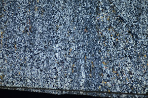 Cross Polarized, S84381