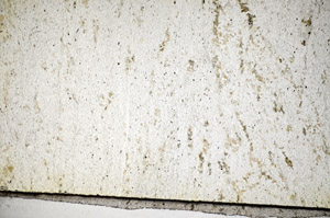 Plane Polarized, S84381