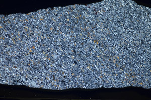 Cross Polarized, S84382