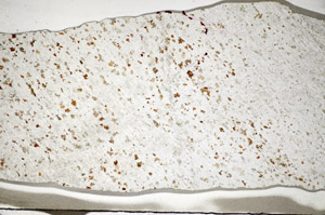 Plane Polarized, S84382