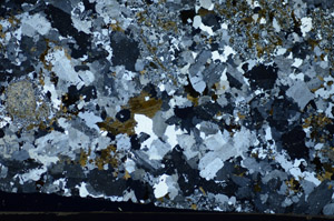 Cross Polarized, S84383