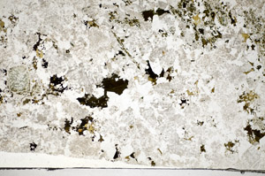 Plane Polarized, S84383