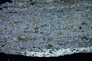 Cross Polarized, S84384