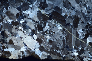 Cross Polarized, S84385