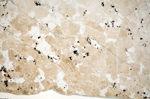 Plane Polarized, S84385