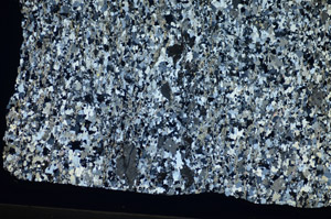 Cross Polarized, S84387