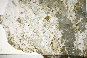 Plane Polarized, S84389