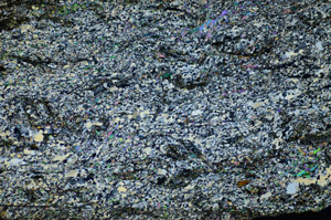 Cross Polarized, S84391