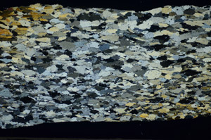 Cross Polarized, S84392