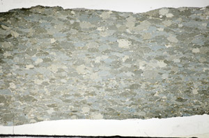 Plane Polarized, S84392