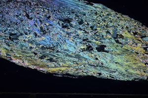 Cross Polarized, S84393