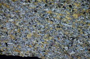 Cross Polarized, S84394