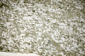 Plane Polarized, S84394