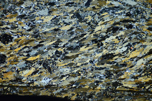 Cross Polarized, S84395