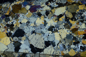 Cross Polarized, S84396