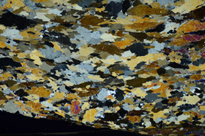 Cross Polarized, S84397