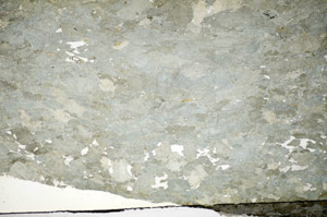 Plane Polarized, S84397