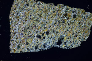 Cross Polarized, S84399