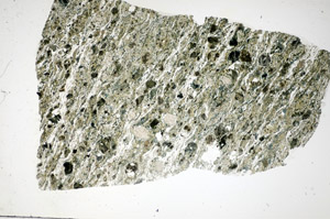 Plane Polarized, S84399