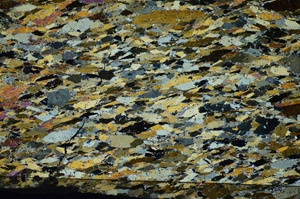 Cross Polarized, S84400