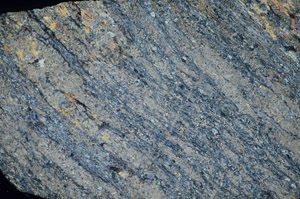 Cross Polarized, S84401