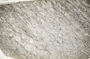 Plane Polarized, S84401