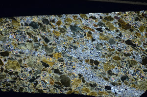 Cross Polarized, S84402