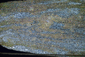 Cross Polarized, S84403