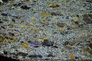 Cross Polarized, S84426