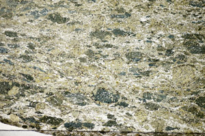 Plane Polarized, S84426