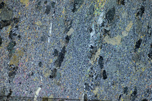 Cross Polarized, S84428