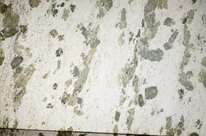 Plane Polarized, S84428