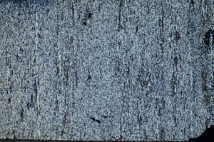 Cross Polarized, S84432