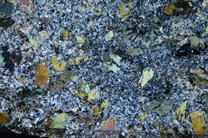 Cross Polarized, S84443