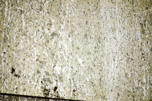 Plane Polarized, S84444