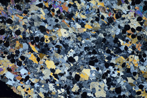 Cross Polarized, S84445