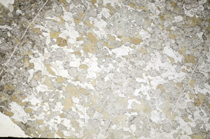 Plane Polarized, S84445