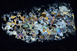 Cross Polarized, S84445/A