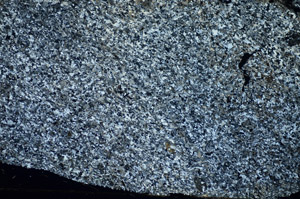 Cross Polarized, S84446