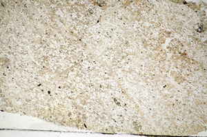 Plane Polarized, S84446