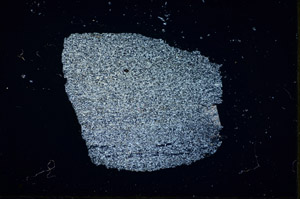 Cross Polarized, S84448