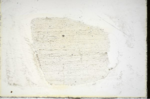 Plane Polarized, S84448