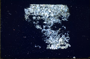 Cross Polarized, S84449