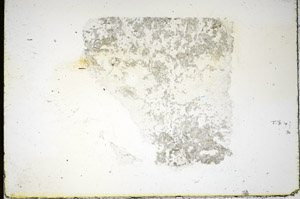 Plane Polarized, S84449