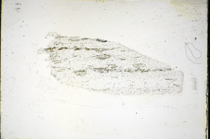 Plane Polarized, S84450