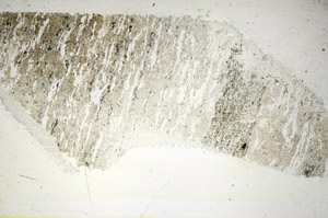 Plane Polarized, S84451